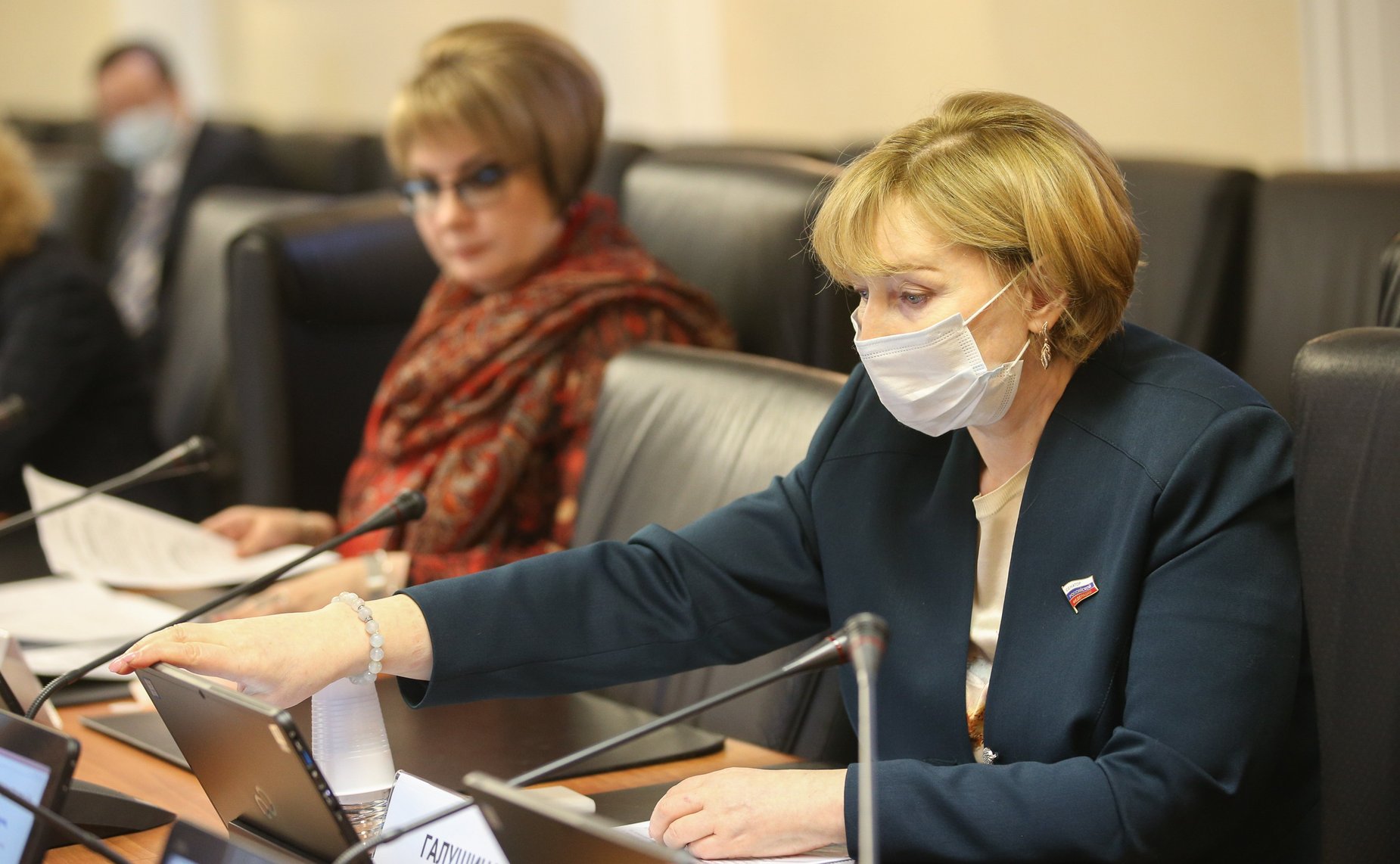 Заседание Комитета СФ по науке, образованию и культуре