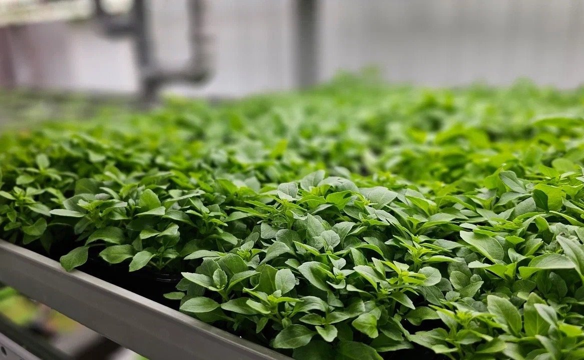 Лариса Круглова совместно с главой Кольского округа провела встречу с представителями малого и среднего бизнеса