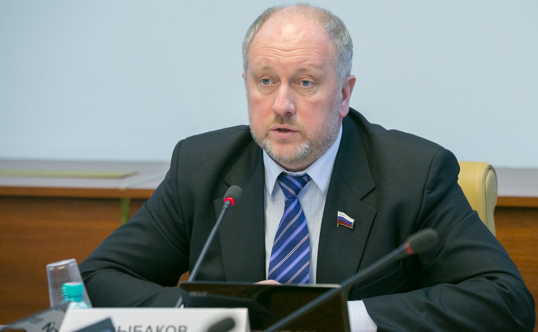 С. Рыбаков Заседание Комитета СФ по науке образованию и культуре