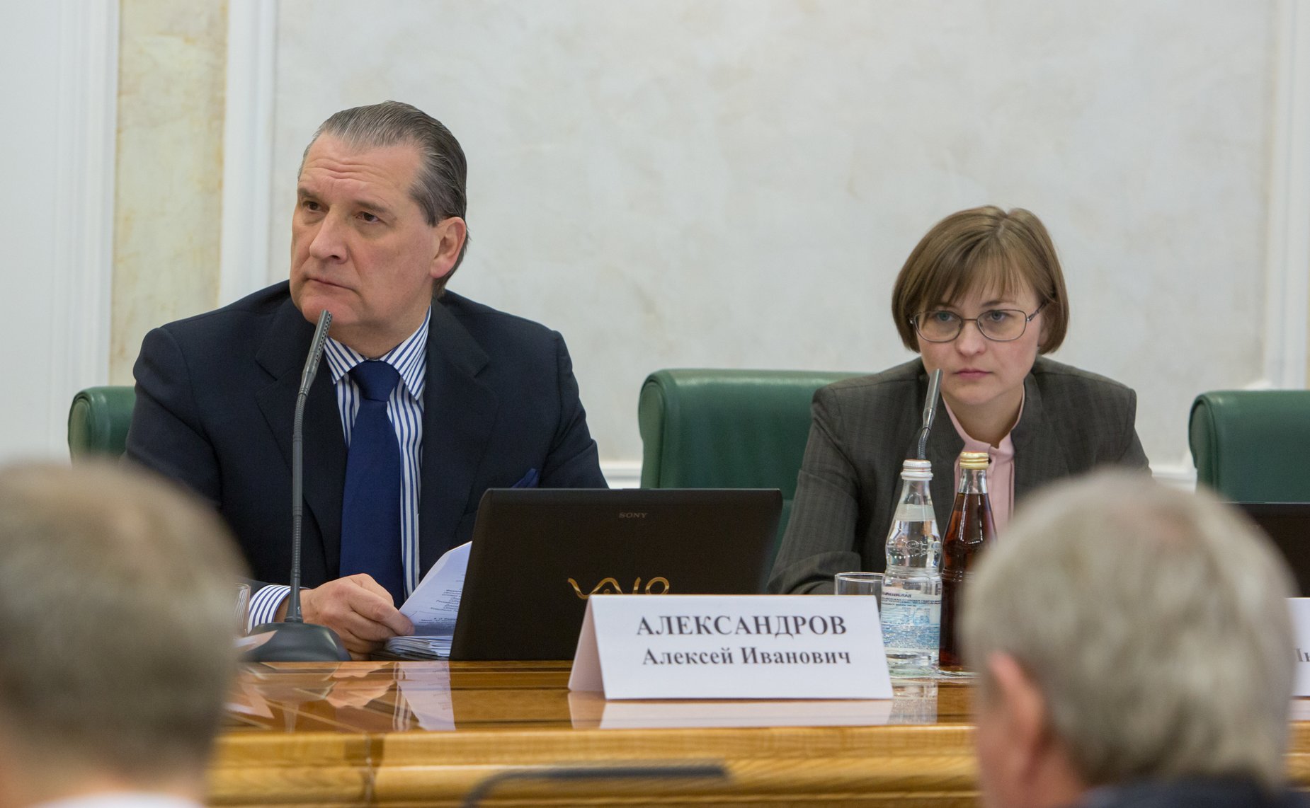 А. Александров Л. Бокова Заседание Комитета Совета Федерации по конституционному законодательству и государственному строительству