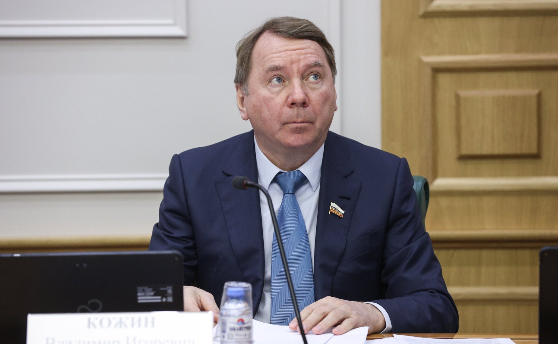 Владимир Кожин