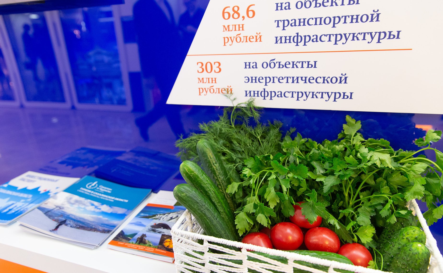 Открытие выставки Сахалинской области в Совете Федерации