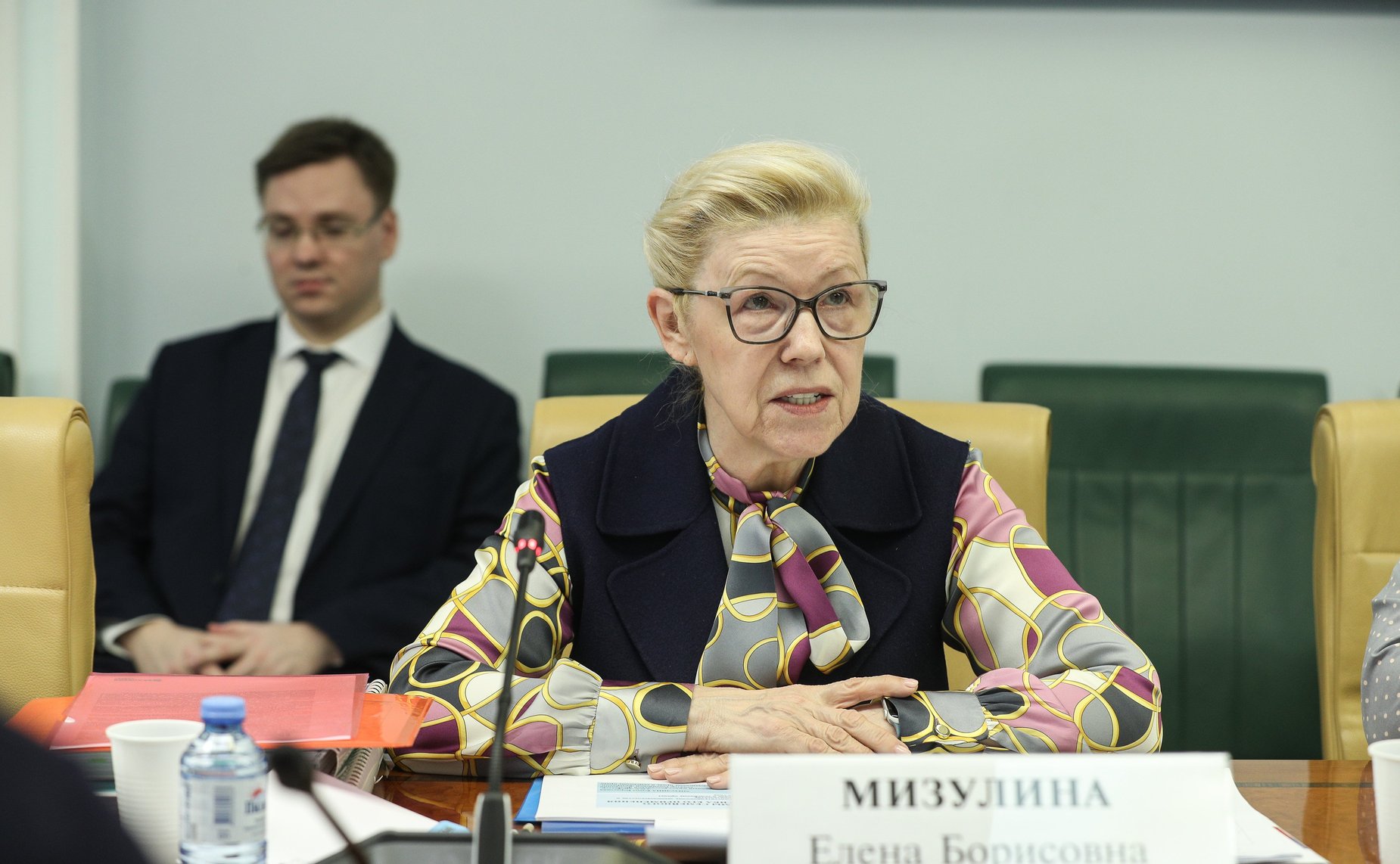 Елена Мизулина