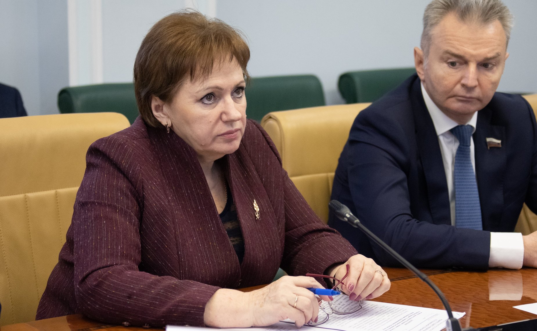 Елена Бибикова