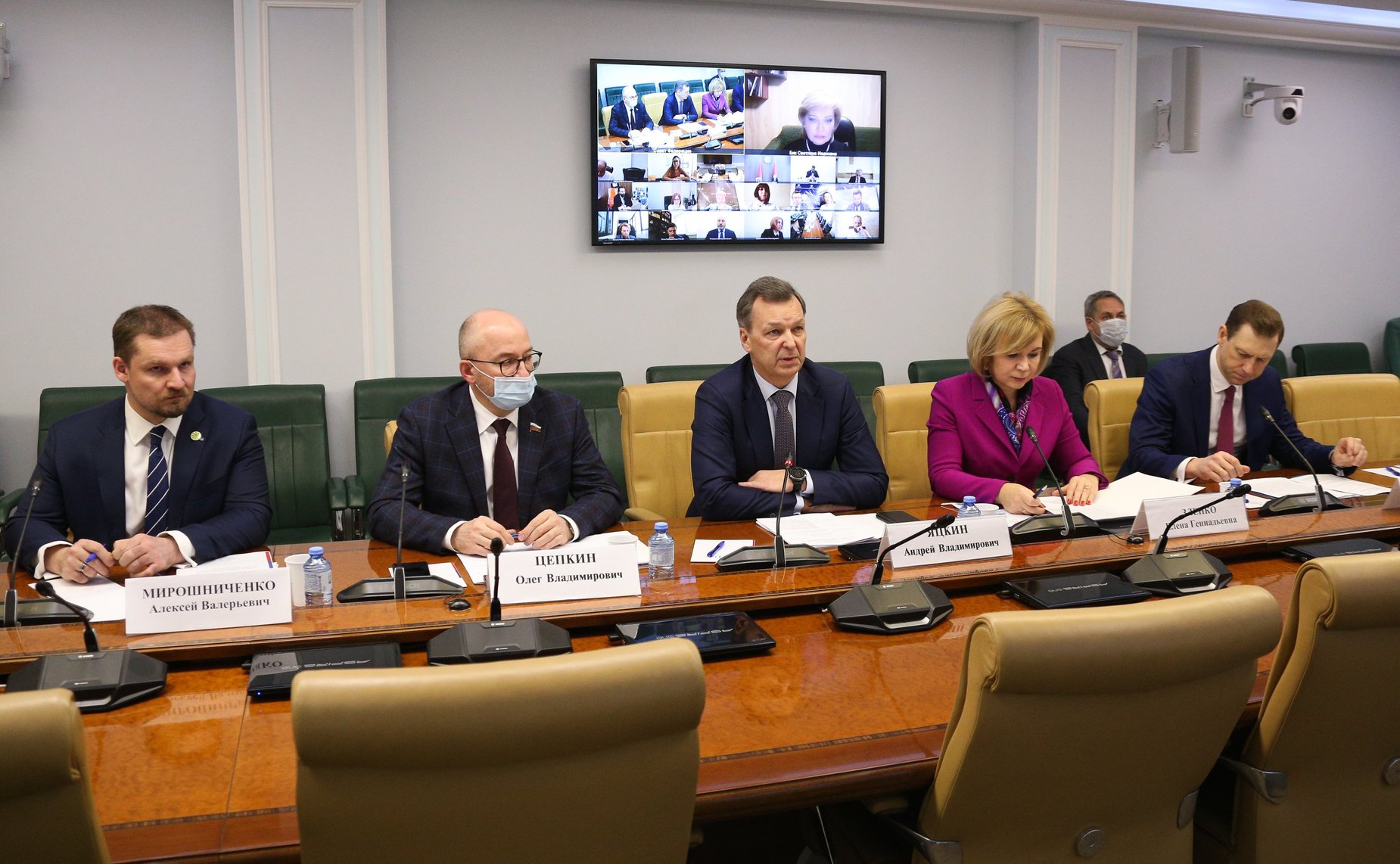 Совещание на тему «О разработке мер по реализации в Российской Федерации «зеленых» проектов, оказывающих минимальное воздействие на окружающую среду»