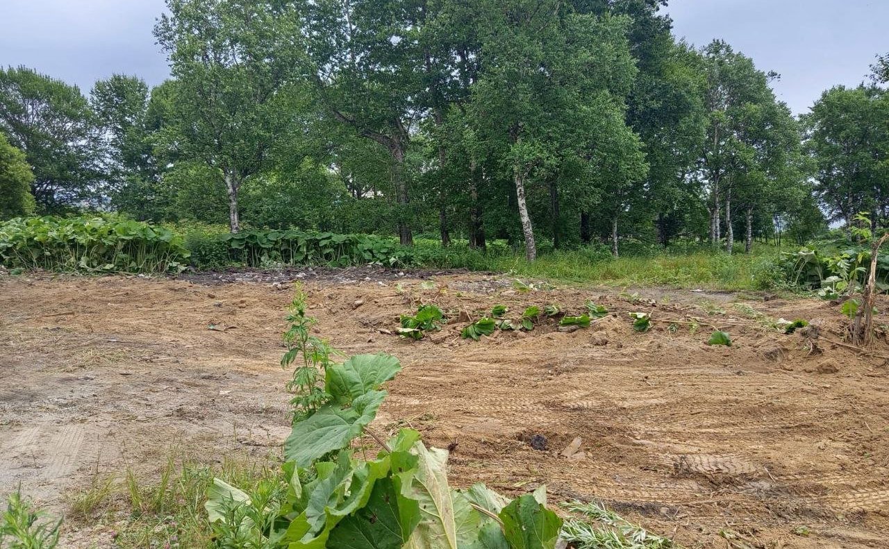 На Сахалине продолжается масштабная работа по утилизации зданий федеральных органов власти, которые уже отслужили свой срок