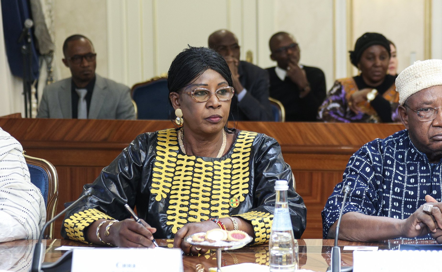 Встреча Председателя Совета Федерации Валентины Матвиенко с Председателем Национального переходного совета Республики Мали