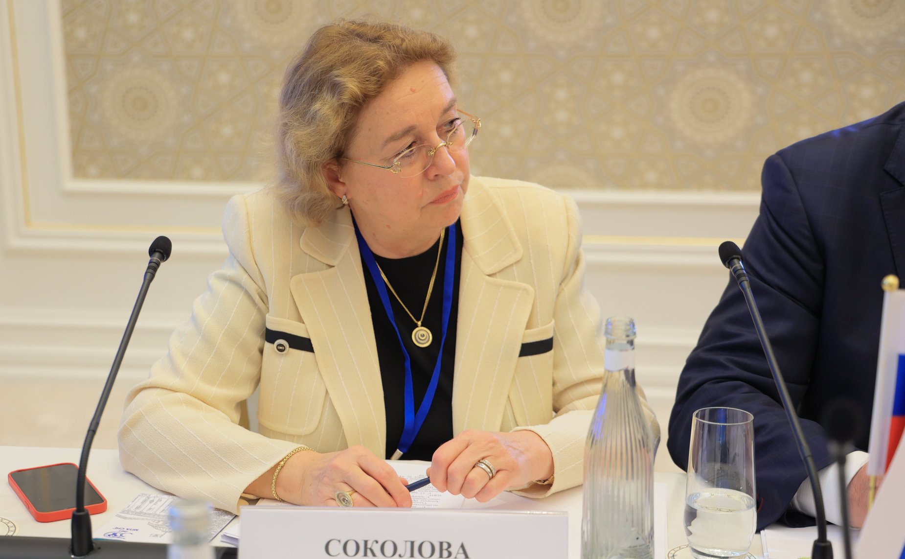 Заседание Постоянной комиссии Межпарламентской Ассамблеи государств – участников Содружества Независимых Государств (МПА СНГ)по политическим вопросам и международному сотрудничеству