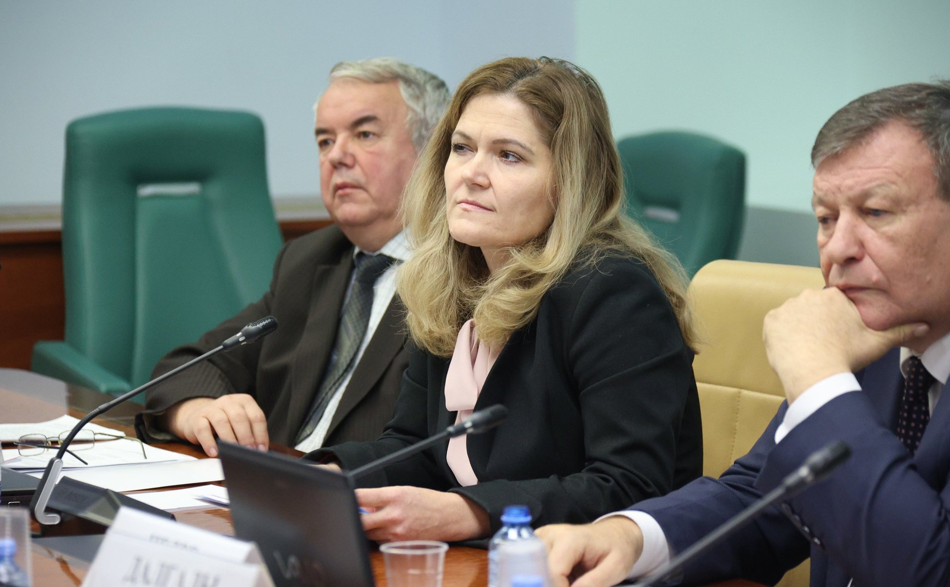 Круглый стола Комитета СФ по конституционному законодательству и государственному строительству «Актуальные проблемы разграничения уголовной и административной ответственности за незаконные действия, причиняющие вред атмосферному воздуху»