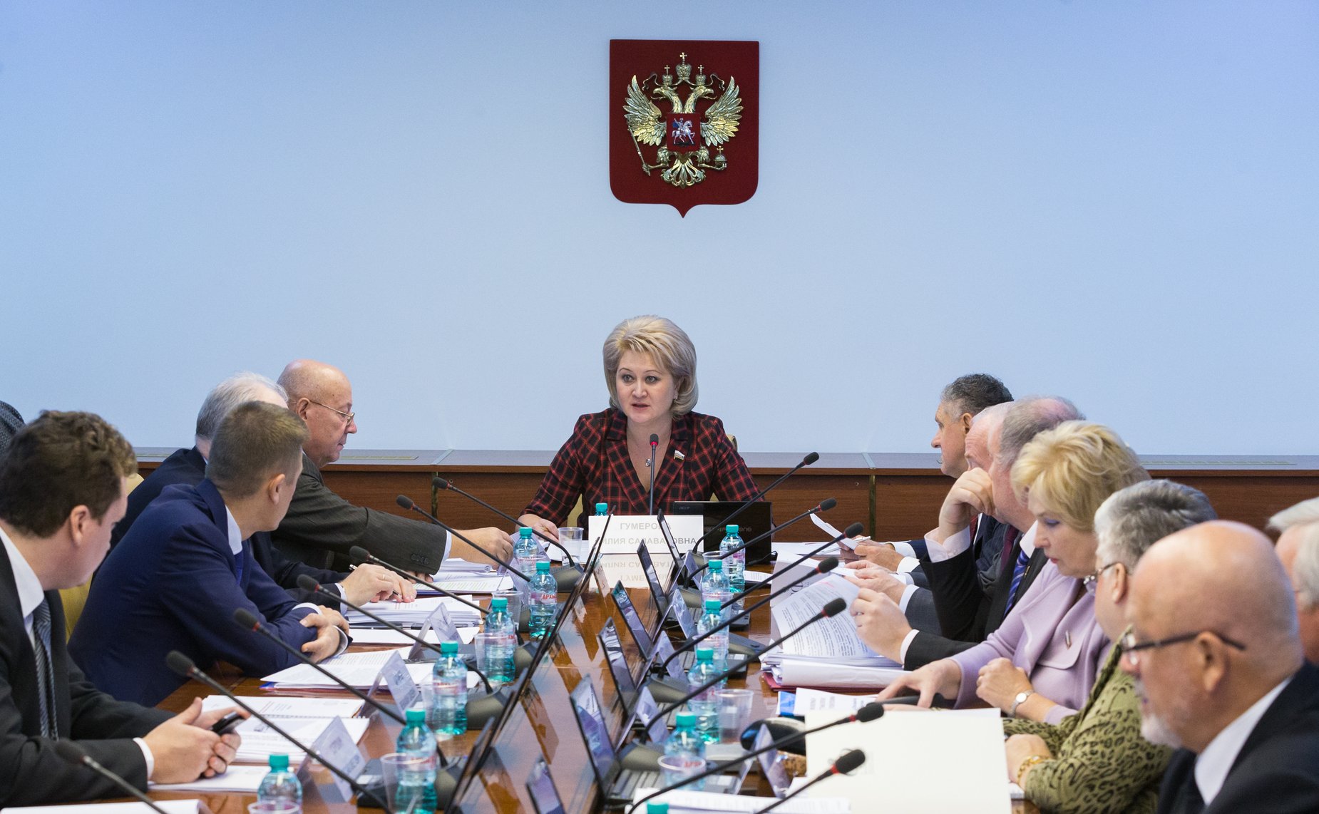 Л. Гумерова Расширенное заседание Комитета СФ по науке, образованию и культуре