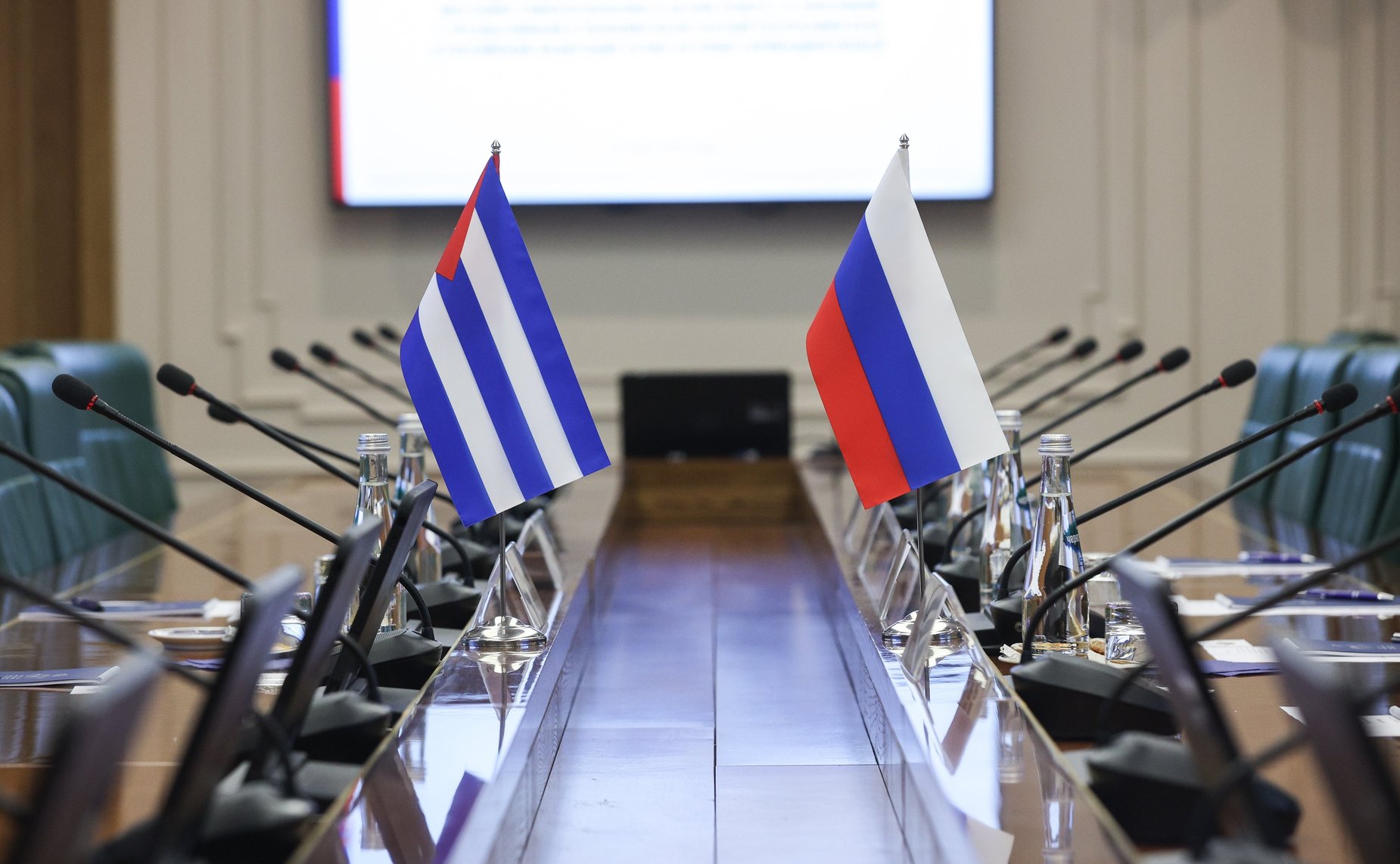Встреча Галины Кареловой с Чрезвычайным и Полномочным Послом Республики Куба в Российской Федерации