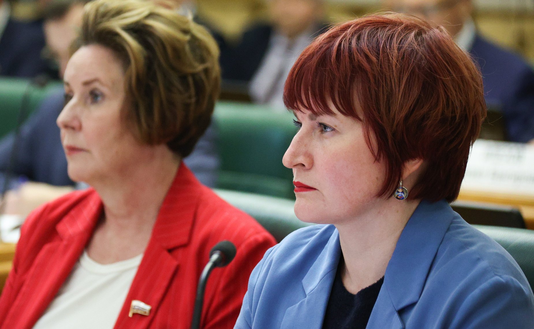 Парламентские слушания на тему «Вопросы управления комплексами индивидуальных жилых домов»