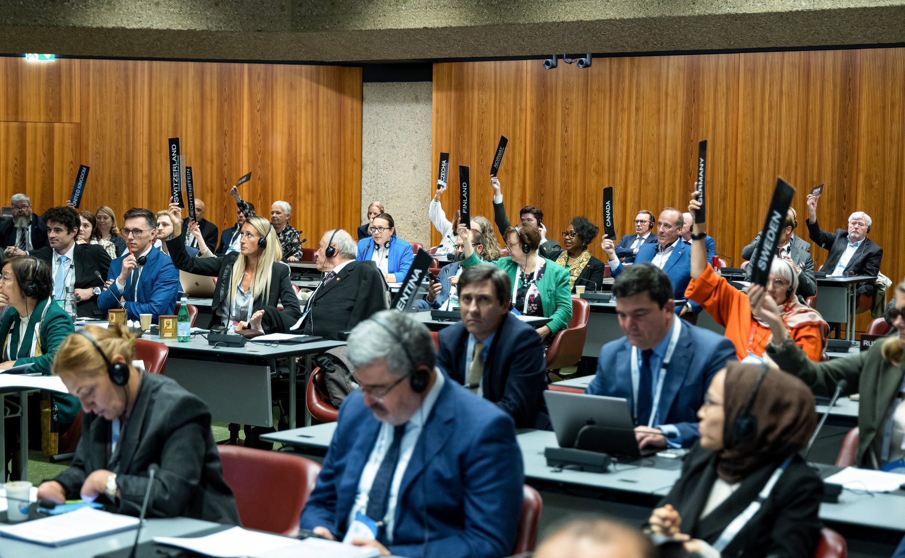 Сенаторы РФ приняли участие в заседании Постоянного комитета по вопросам демократии и прав человека Межпарламентского союза