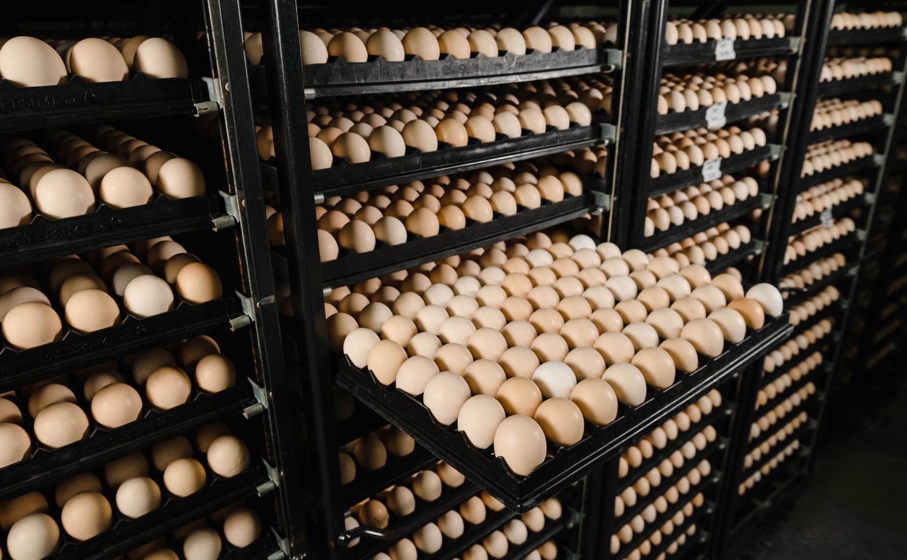 Сергей Мартынов отметил важность развития предприятий регионального агропрома