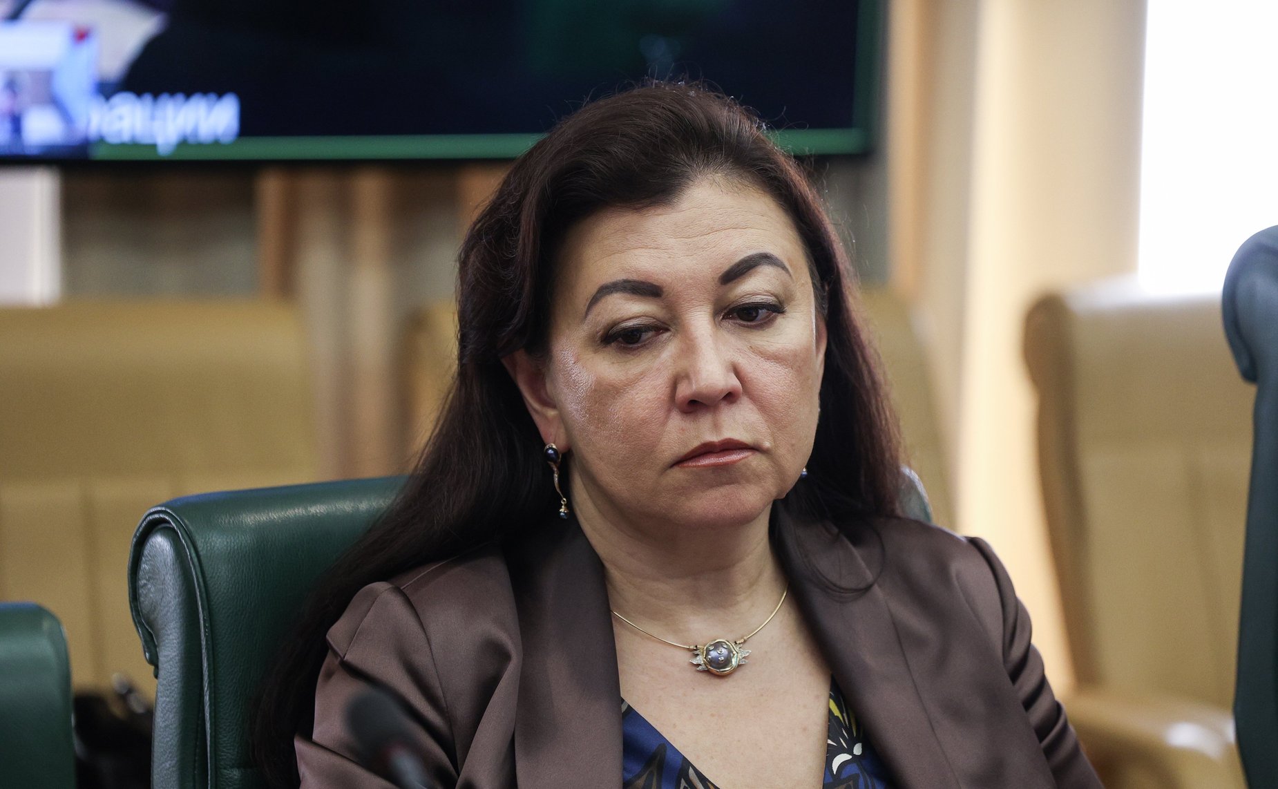 Круглый стол Комитета Совета Федерации по международным делам «Роль Российской Федерации в развитии международных транспортных коридоров в современных международных условиях»