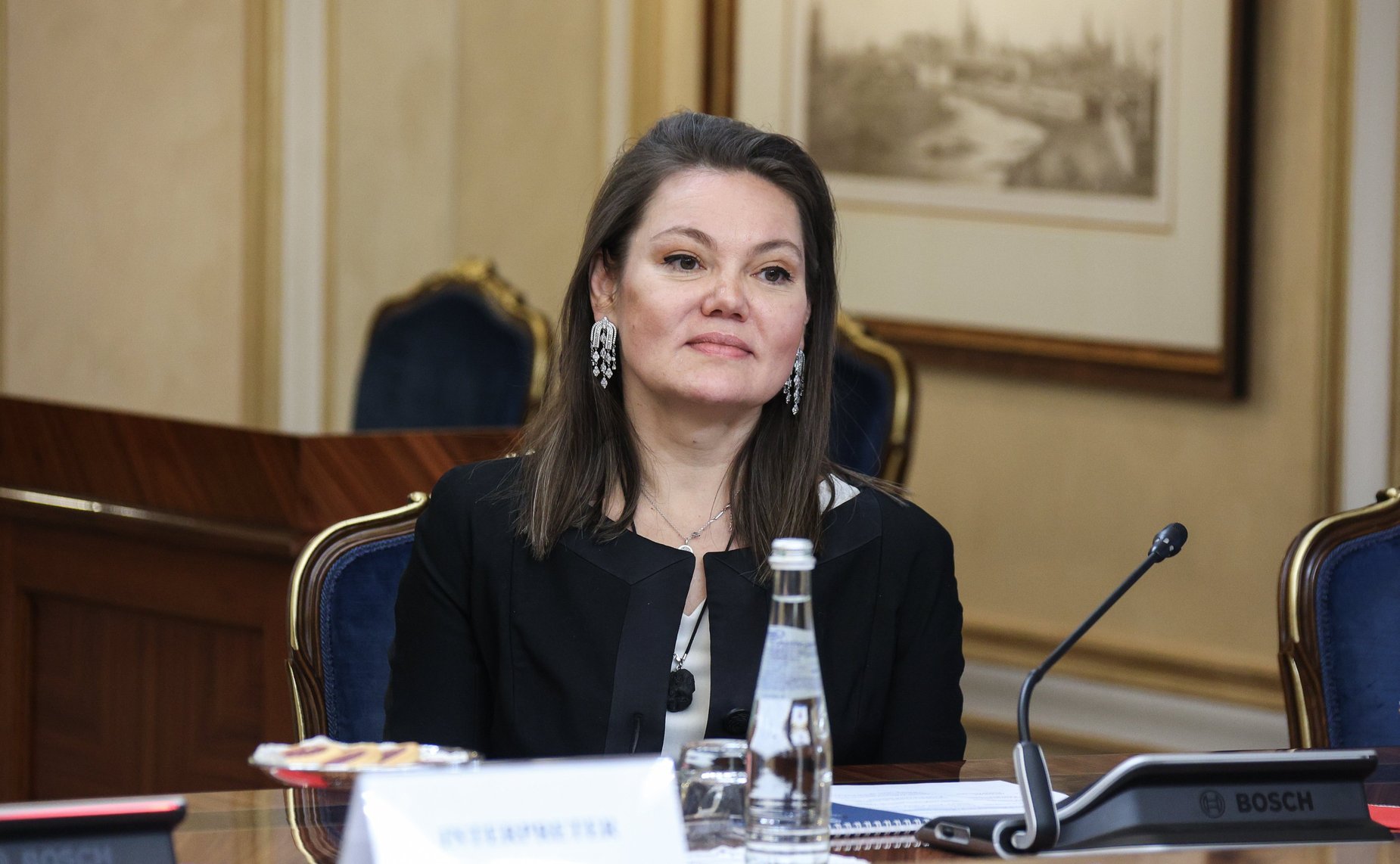 Встреча заместителя Председателя Совета Федерации Галины Кареловой с представителями «Женской двадцатки» (W20)