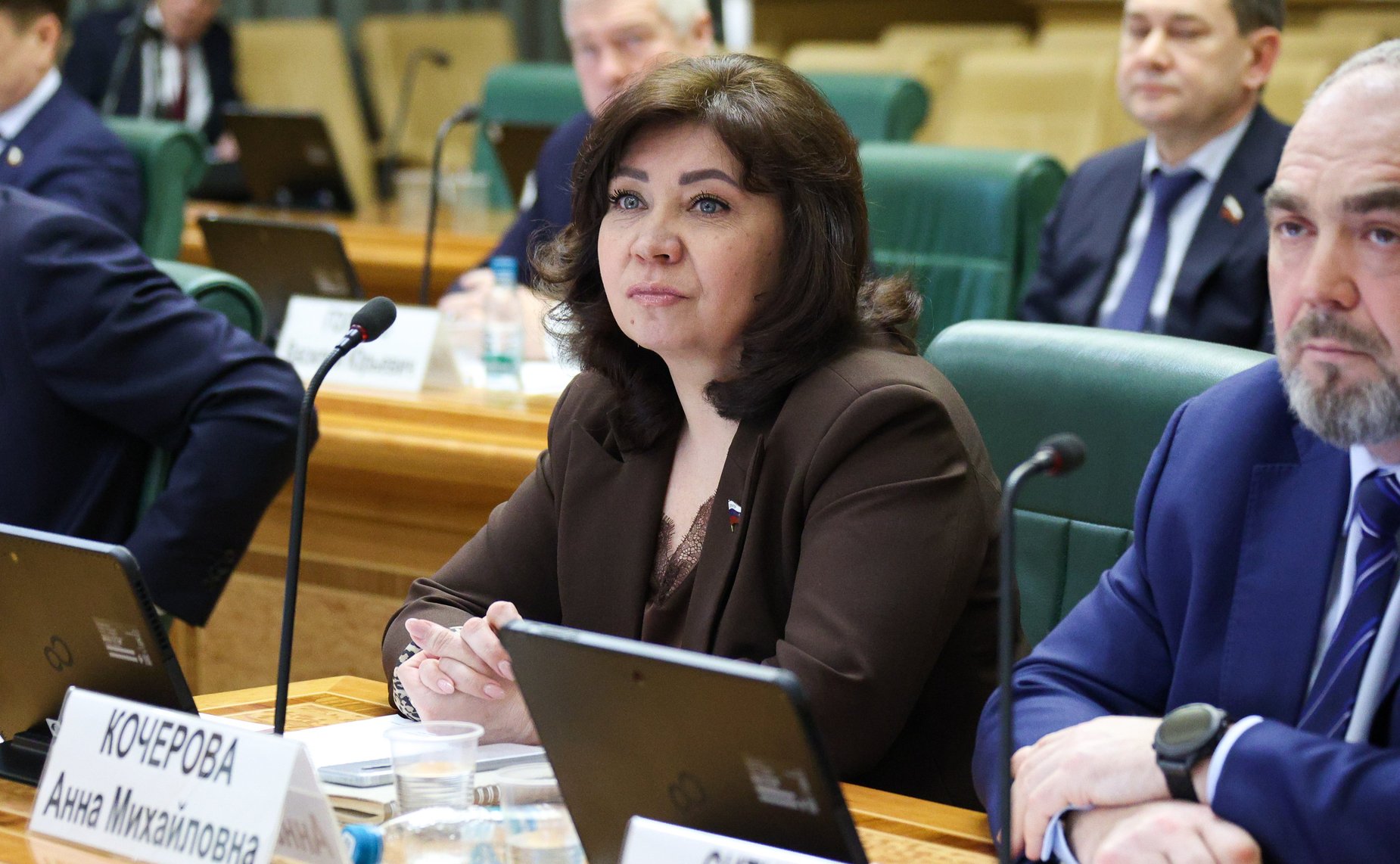 Анна Кочерова