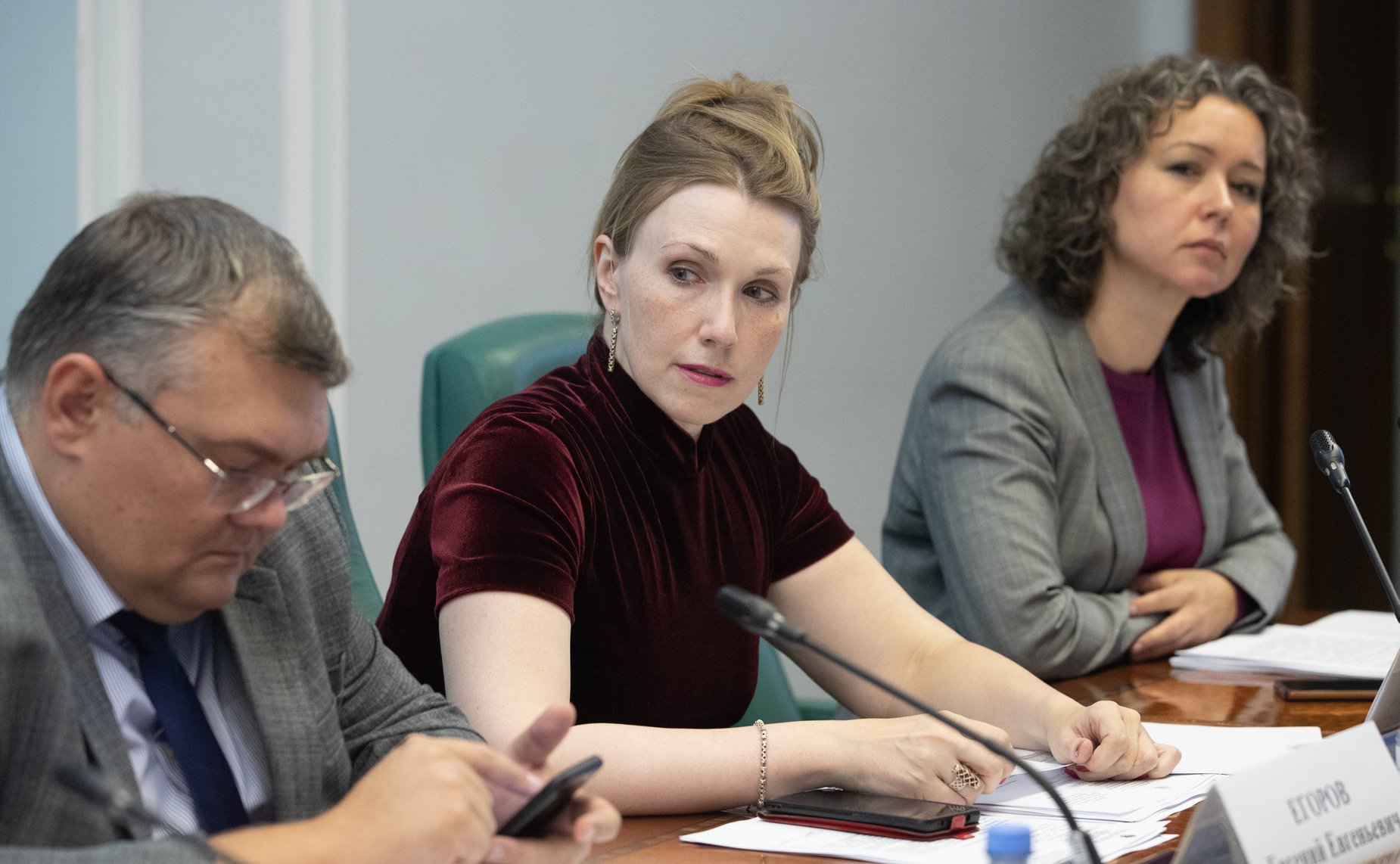 Заседание рабочей группы Комитета Совета Федерации по аграрно-продовольственной политике и природопользованию