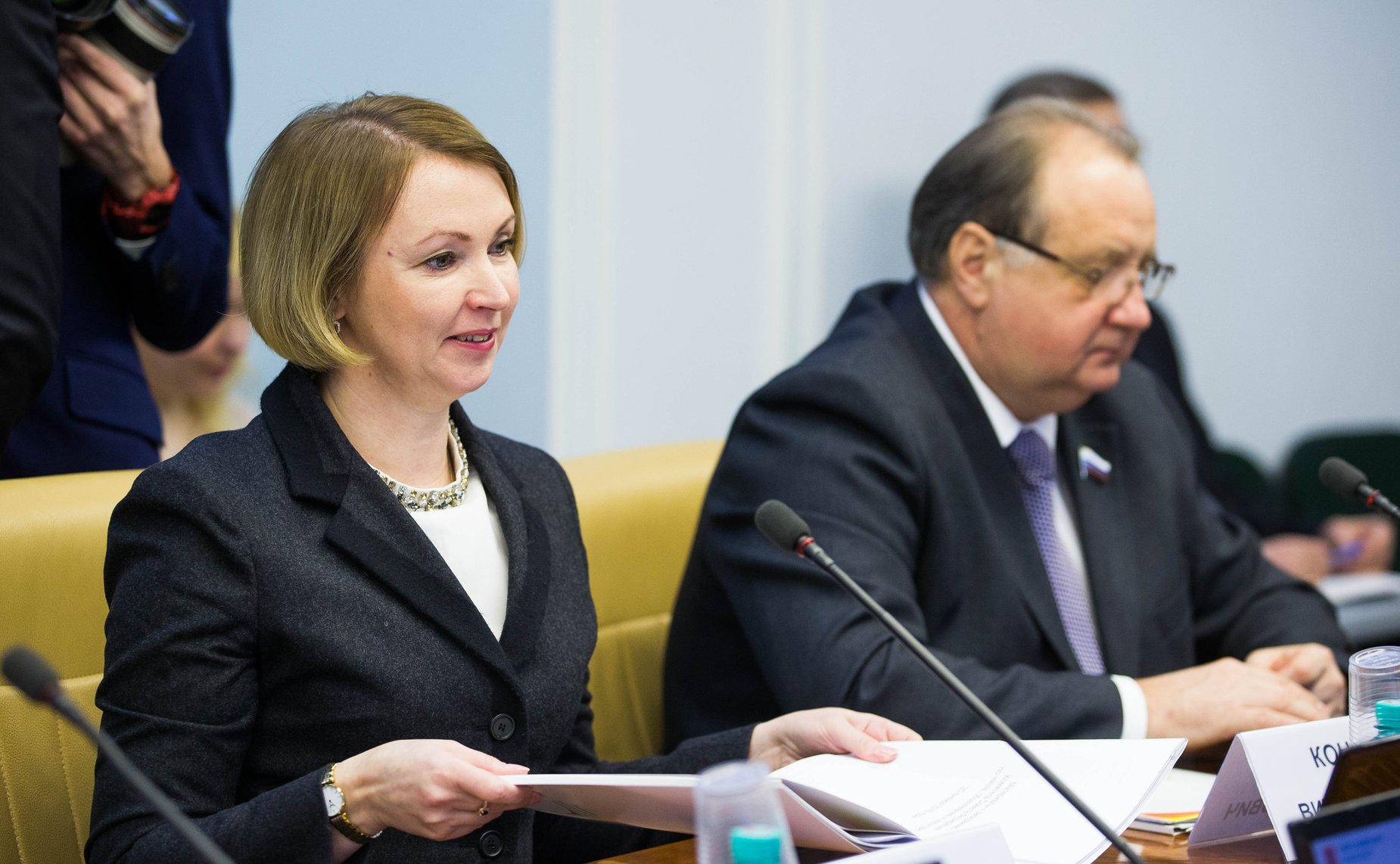 И. Гехт на заседании Комитета СФ по науке, образованию и культуре