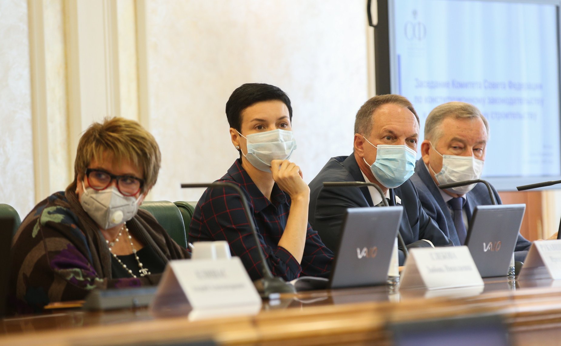 Заседание Комитета СФ по конституционному законодательству и государственному строительству