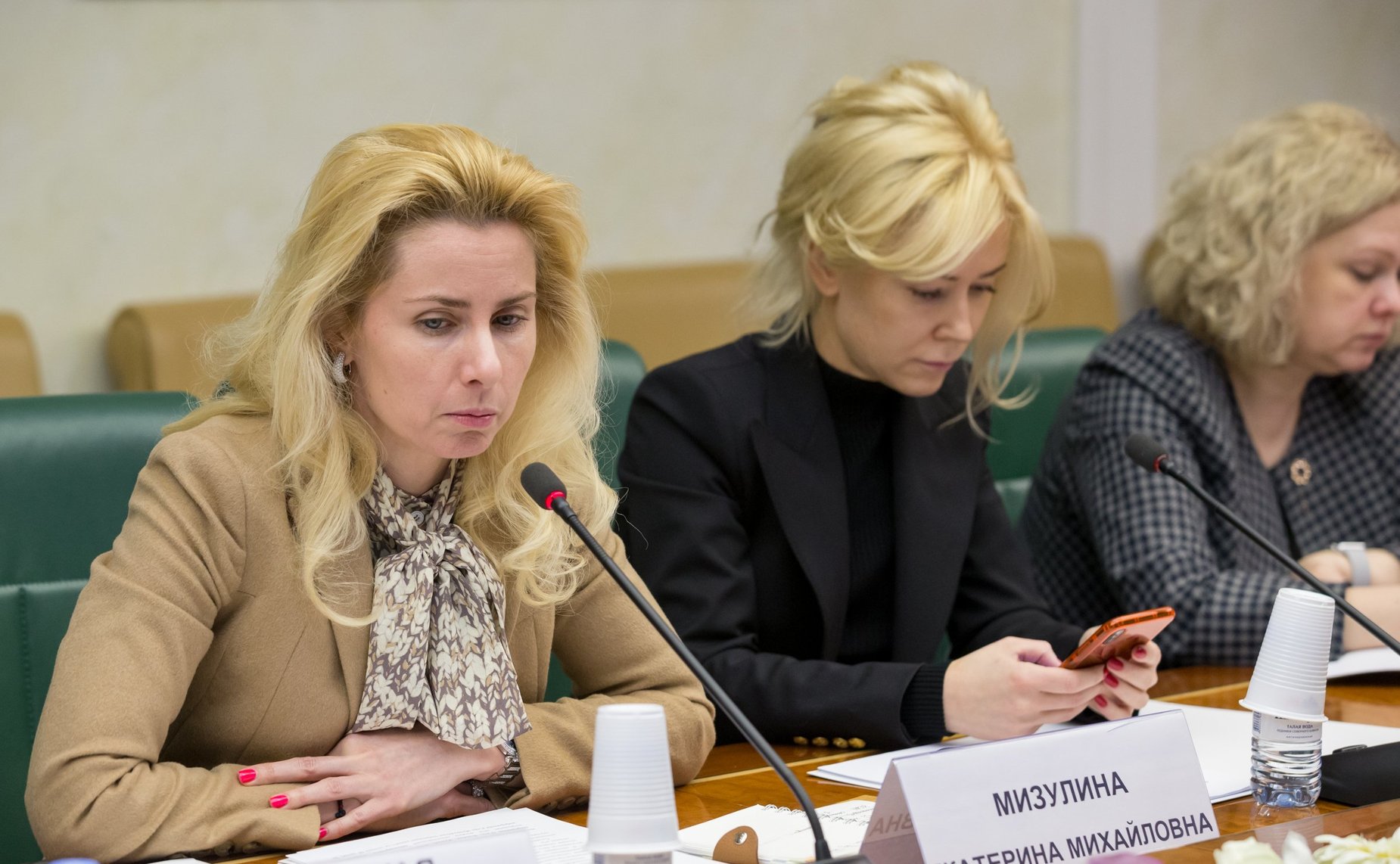 Заседание рабочей группы Комитета СФ по науке, образованию и культуре