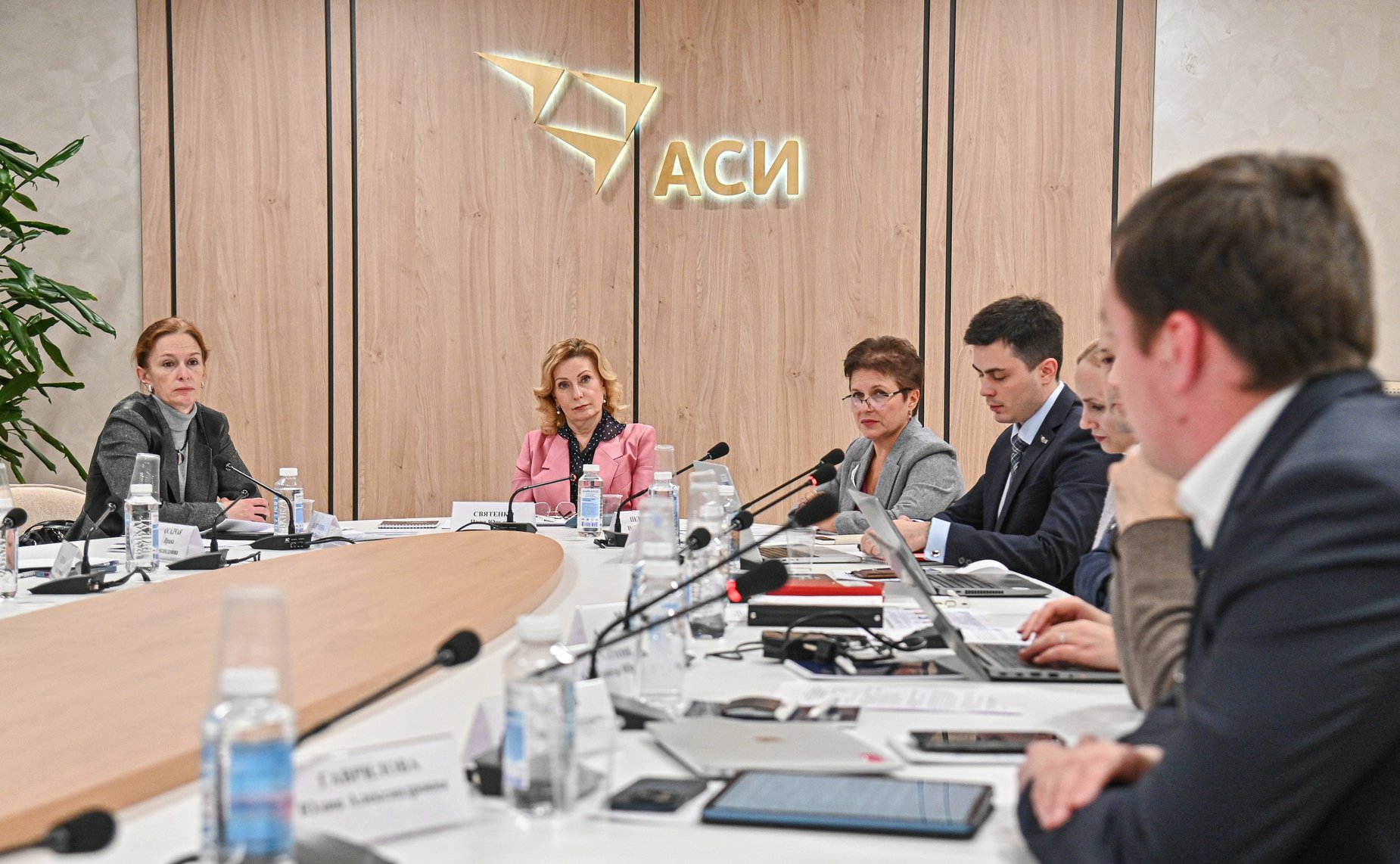 Заместитель Председателя Совета Федерации Инна Святенко провела заседание рабочей группы «Социальные проекты» Агентства стратегических инициатив