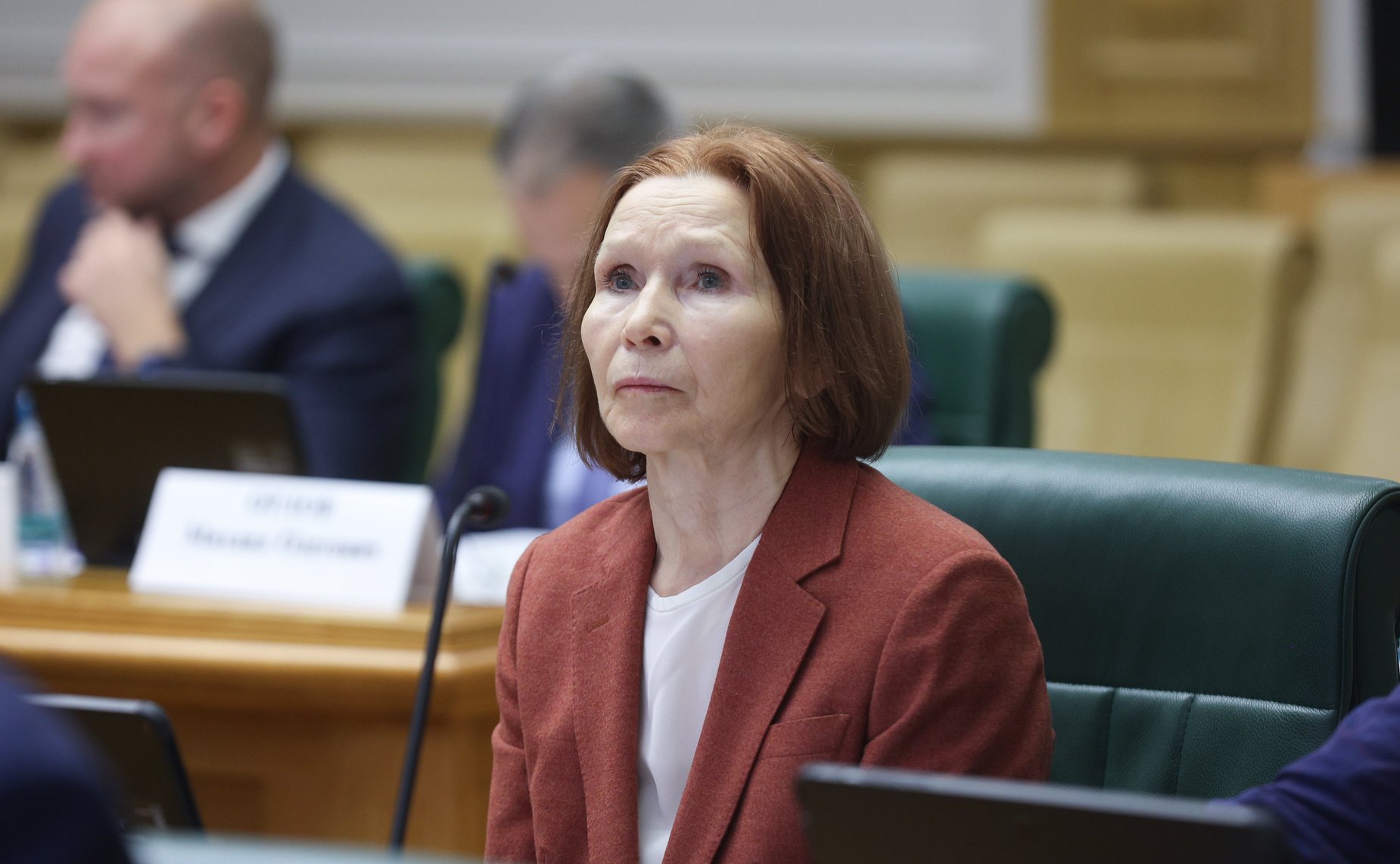 Заседание Совета по вопросам развития лесного комплекса Российской Федерации при Совете Федерации