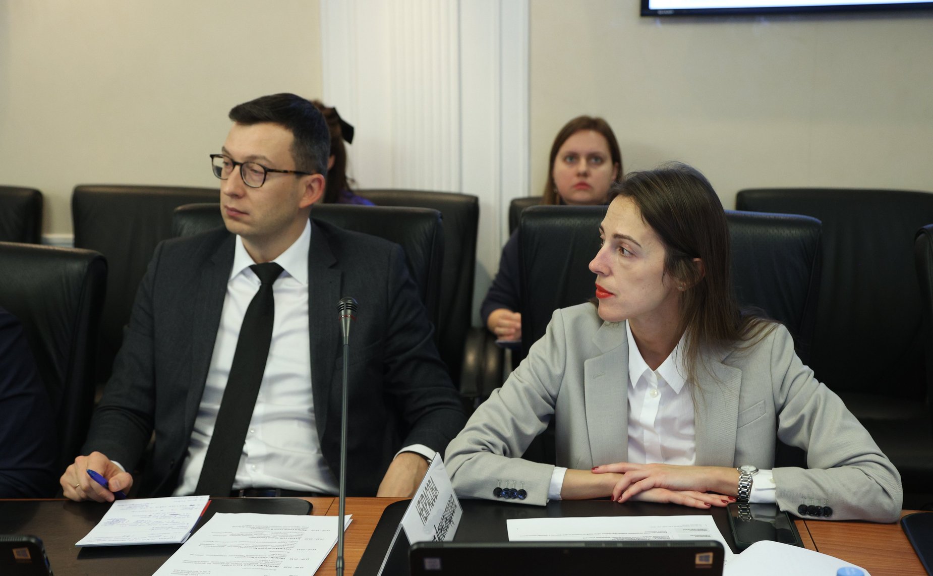 Расширенное заседание Комитета СФ по федеративному устройству, региональной политике, местному самоуправлению и делам Севера