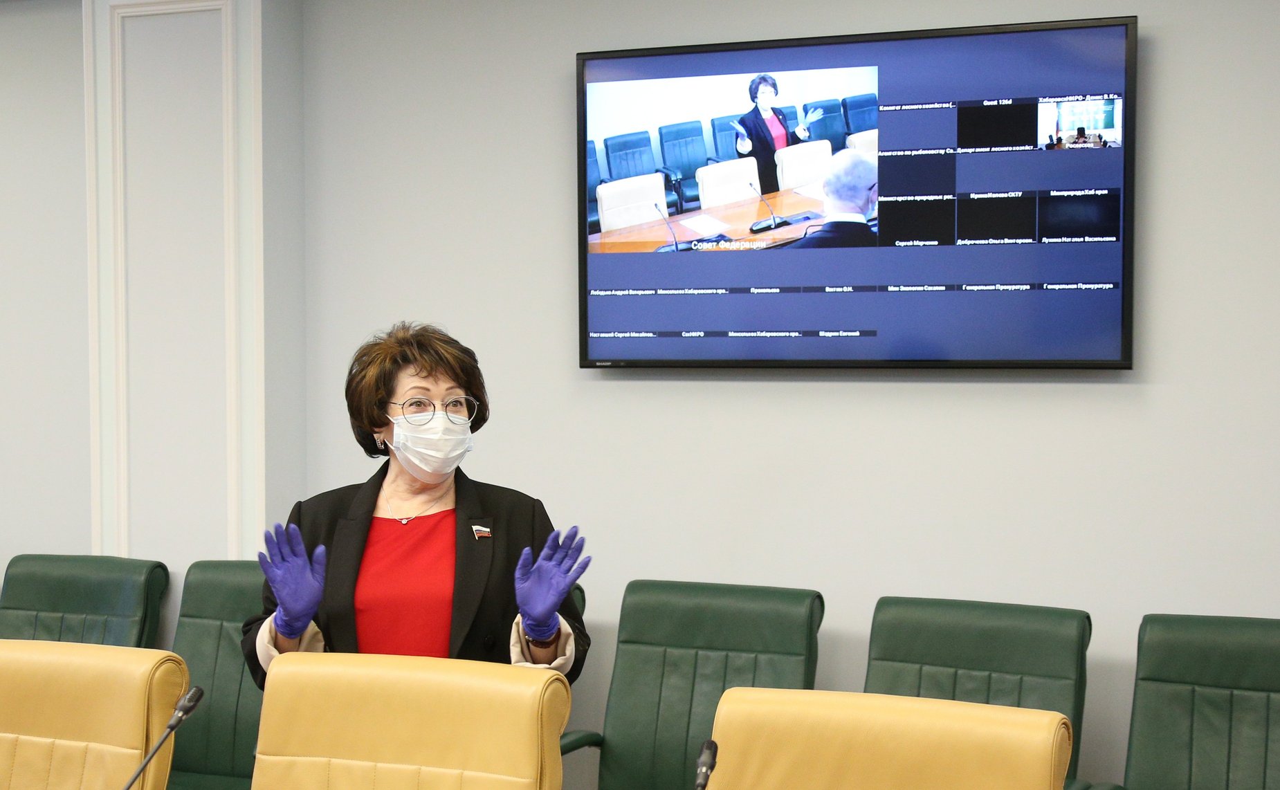 17 ноября 2020 года. Совещание Комитета СФ по аграрно-продовольственной политике и природопользованию