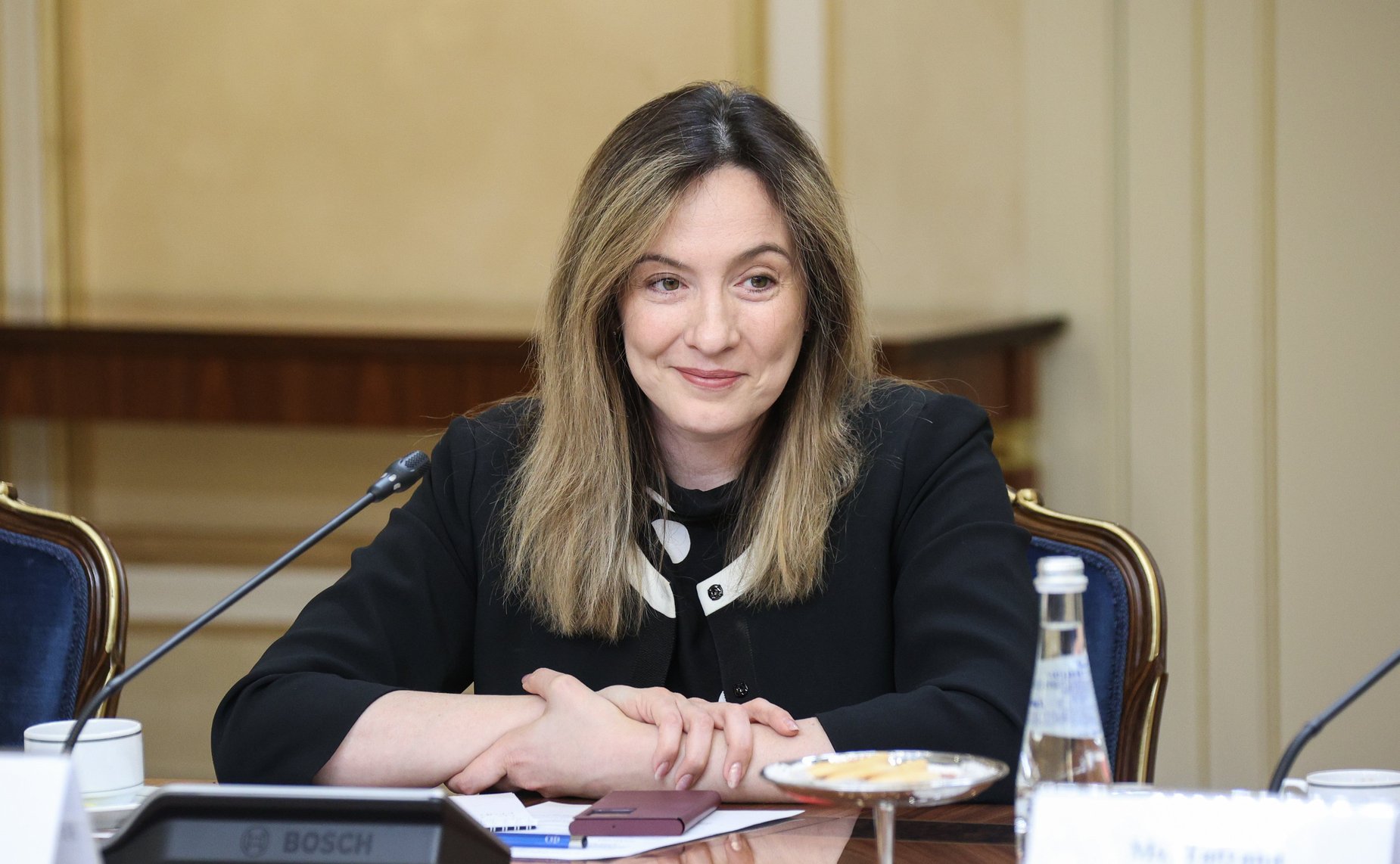 Встреча заместителя Председателя Совета Федерации Галины Кареловой с представителями «Женской двадцатки» (W20)