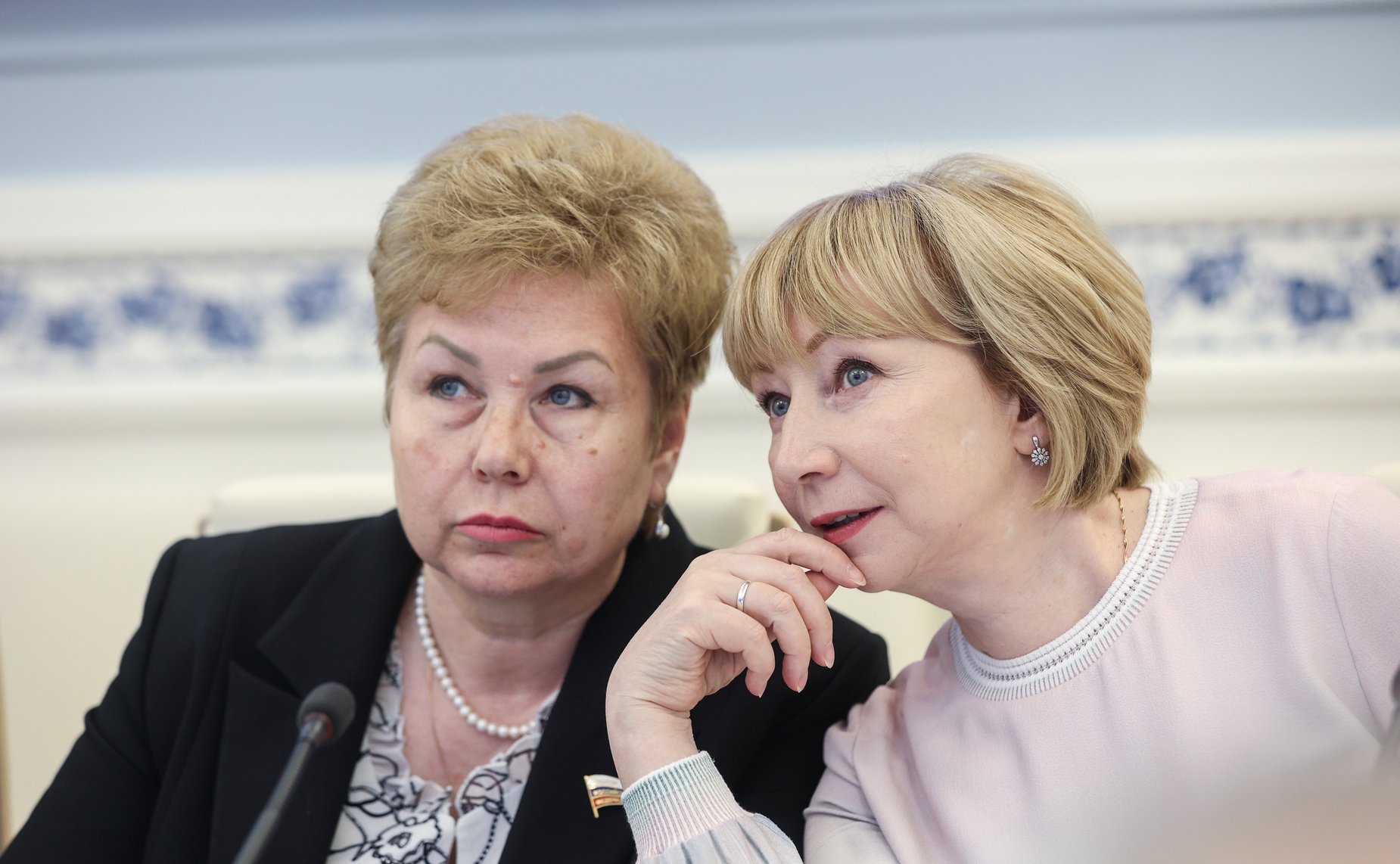 Расширенное заседание Комитета СФ по науке, образованию и культуре (в рамках Дней Приморского края в СФ)