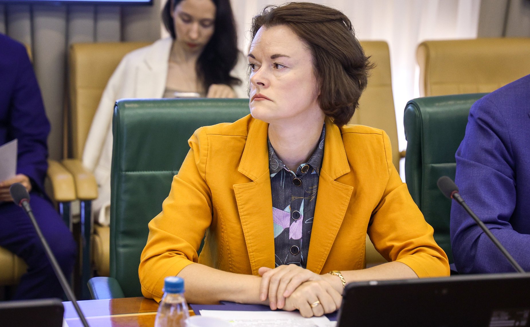 Заседание Комитета СФ по международным делам