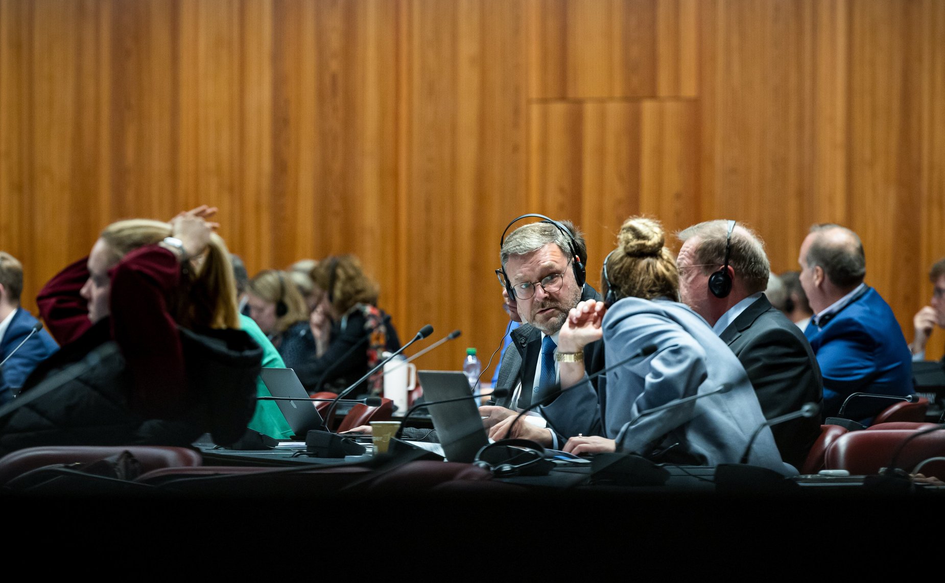 Сенаторы РФ приняли участие в заседании Постоянного комитета по вопросам демократии и прав человека Межпарламентского союза