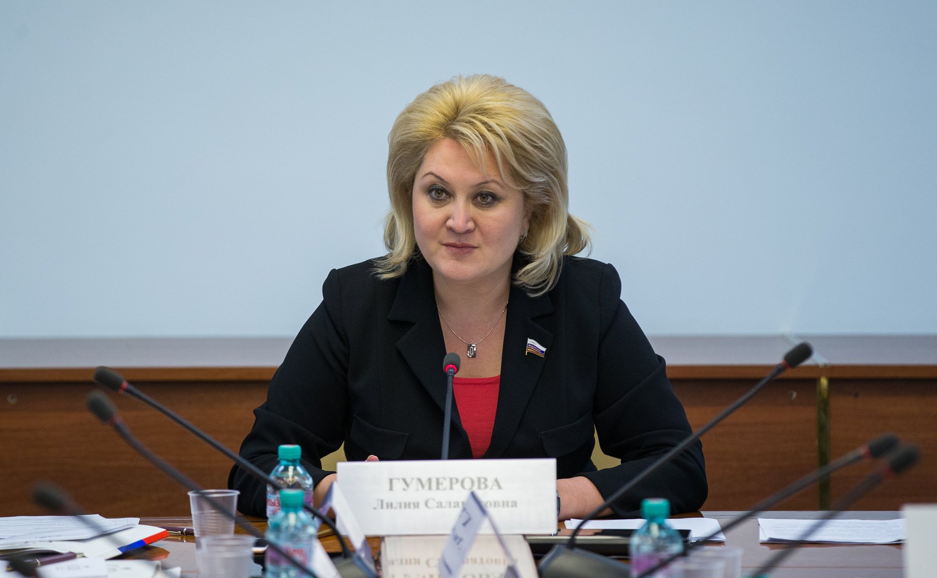 Л. Гумерова «Круглый стол» на тему «О законодательном обеспечении сохранения, поддержки и развития русского языка»