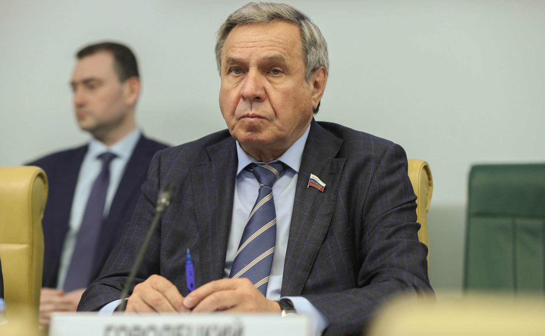 Владимир Городецкий