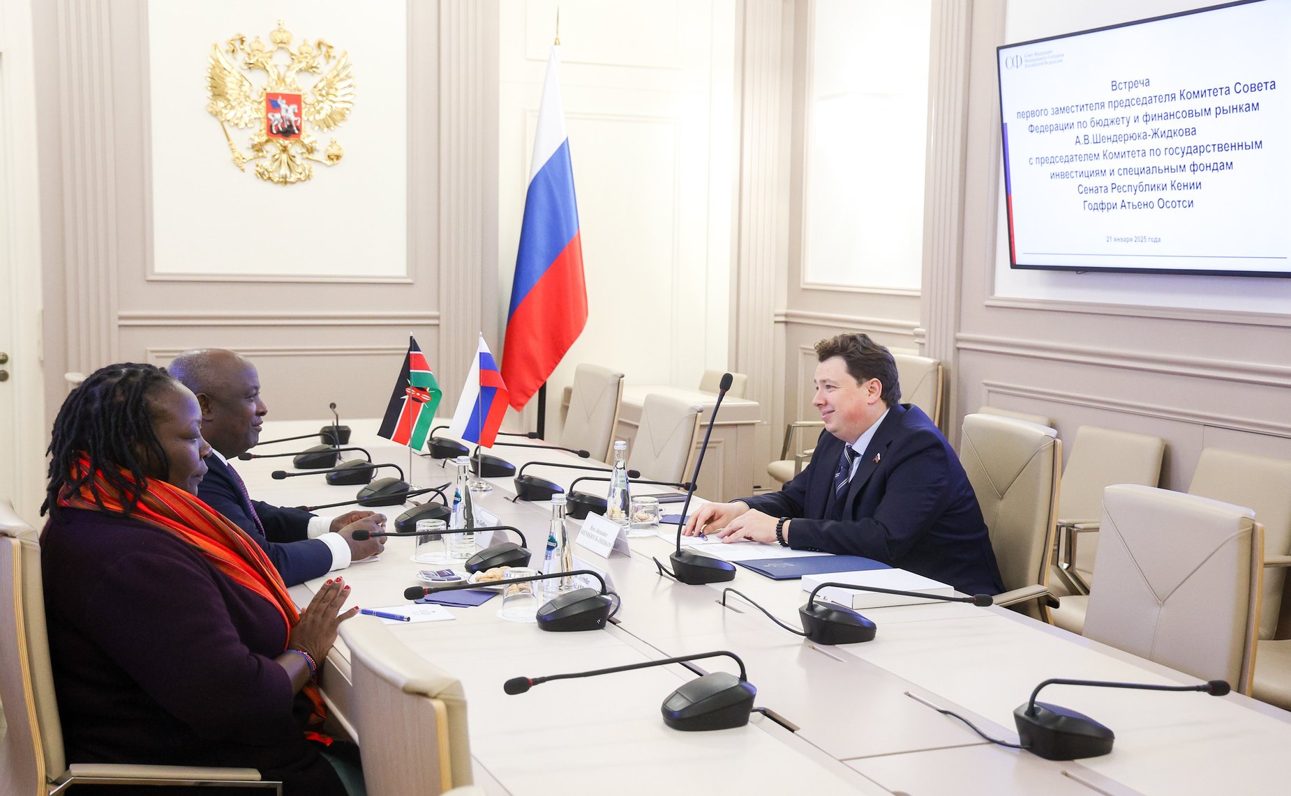 Встреча первого заместителя председателя Комитета СФ по бюджету и финансовым рынкам Александра Шендерюка-Жидкова с председателем Комитета по государственным инвестициям и специальным фондам Сената Республики Кении