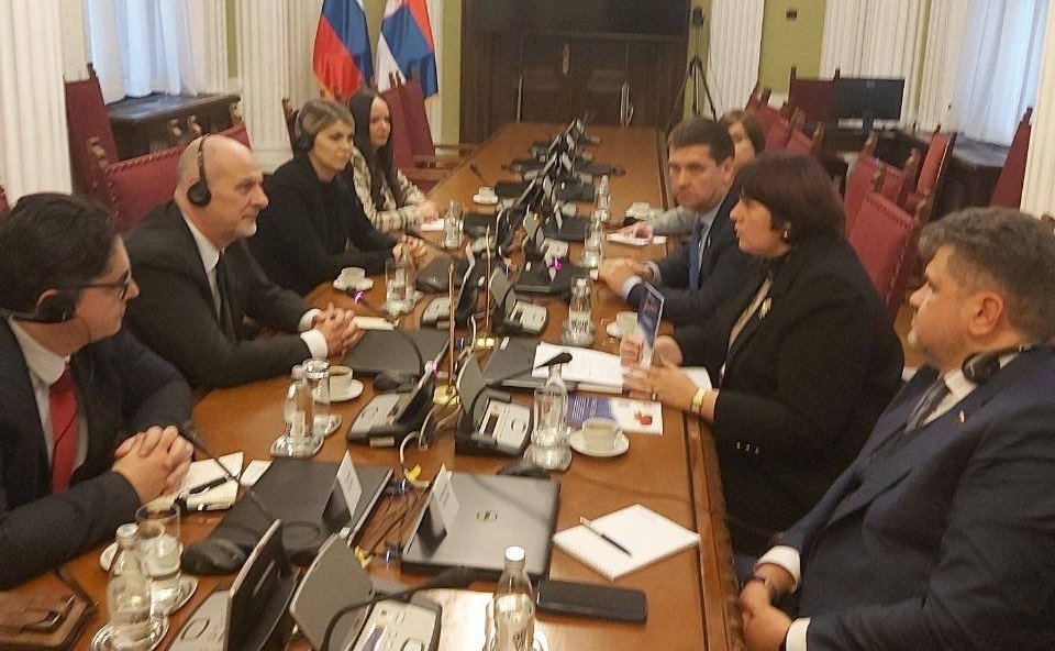 Группа дружбы Совета Федерации с Парламентом Республики Сербии провела ряд встреч в сербском Парламенте
