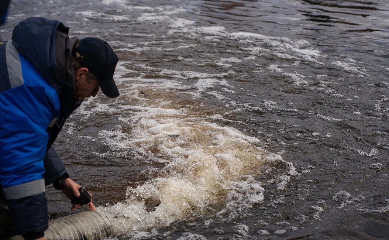 Игорь Зубарев принял участие в выпуске в реку Шуя дополнительной партии молоди краснокнижной рыбы