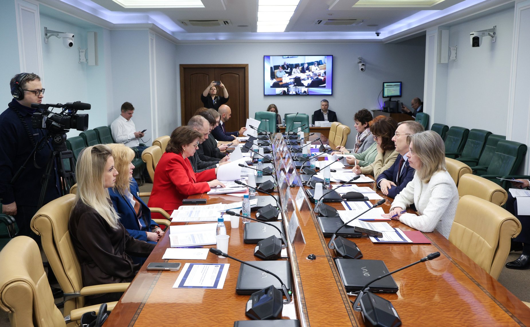 Заседание Экспертного совета по социальному развитию при Комитете Совета Федерации по социальной политике