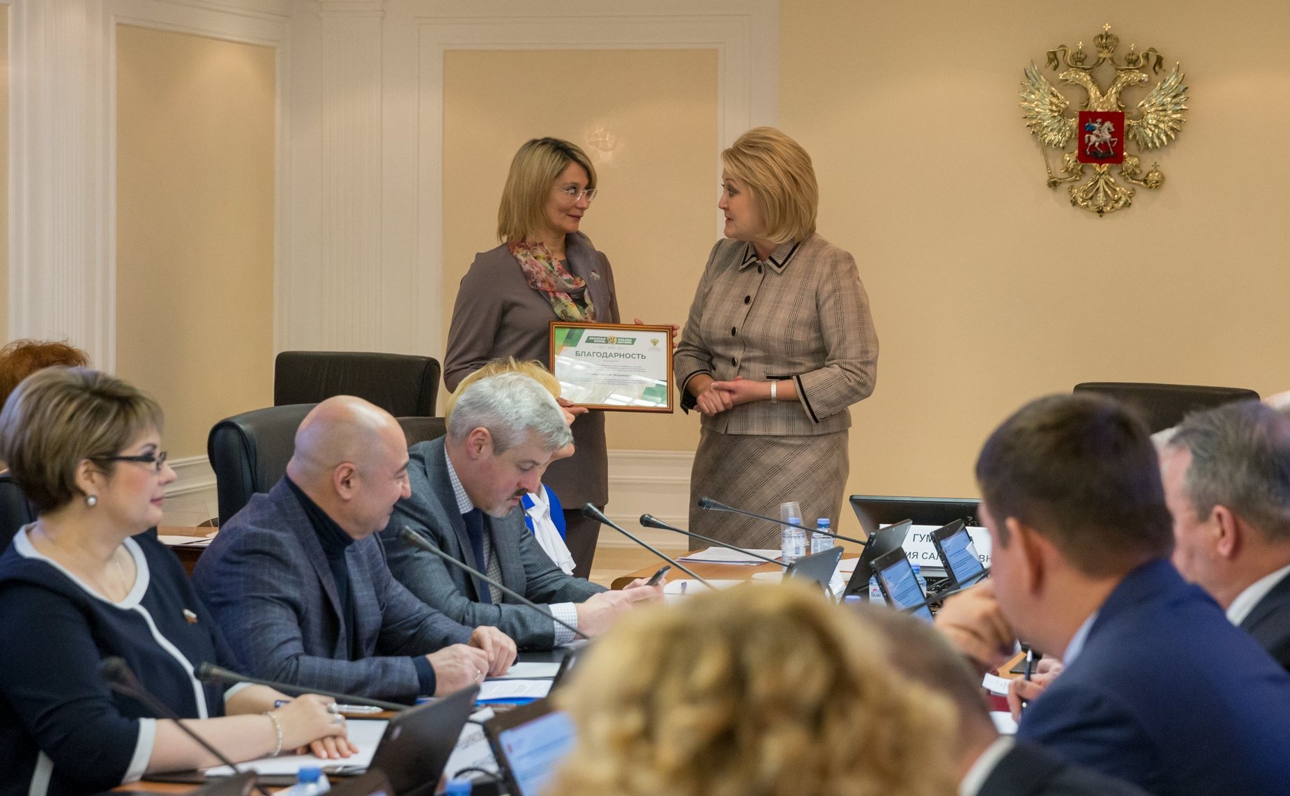 Заседание Комитета СФ по науке, образованию и культуре