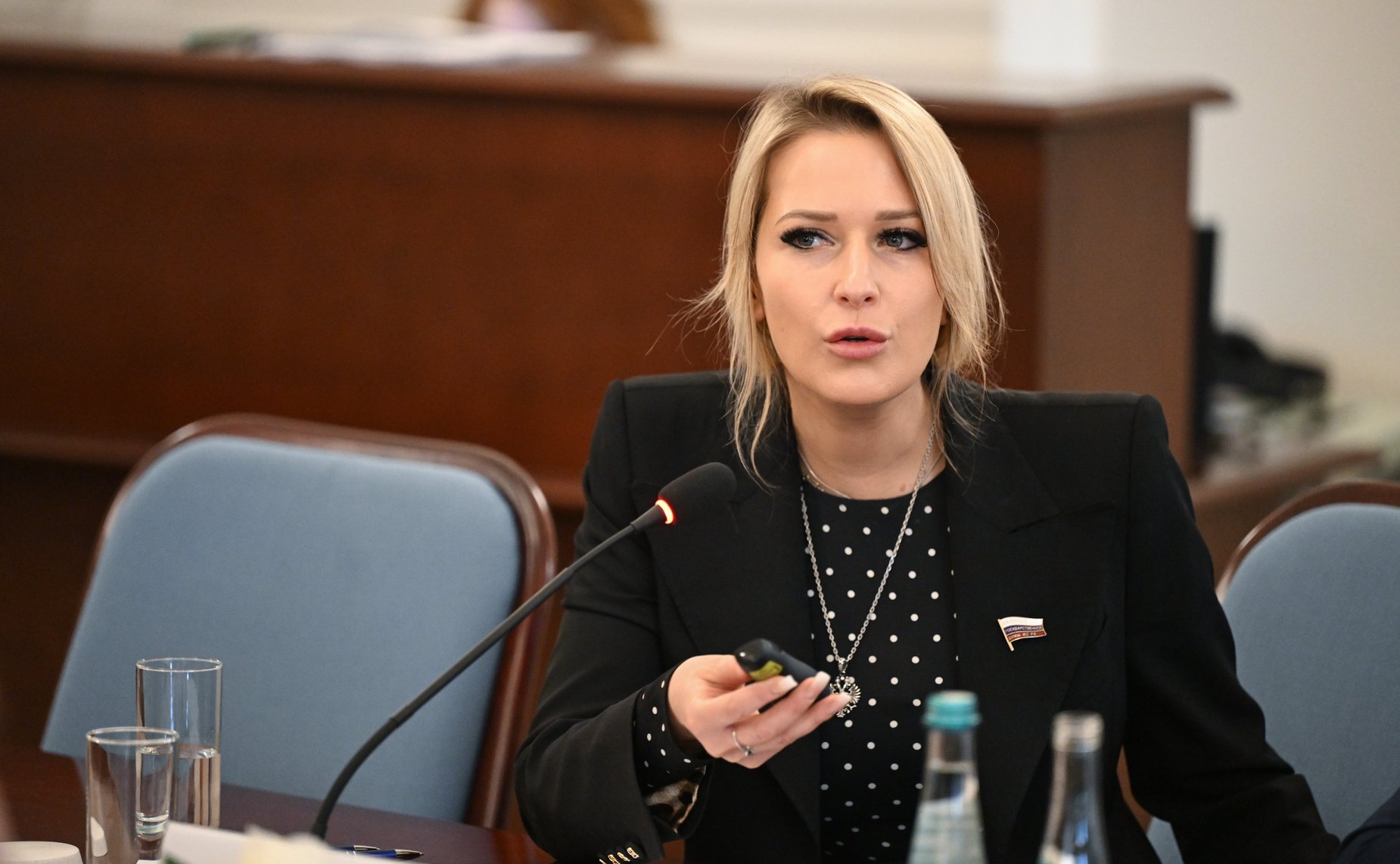 Комиссия Совета законодателей по информационной политике, информационным технологиям и инвестициям