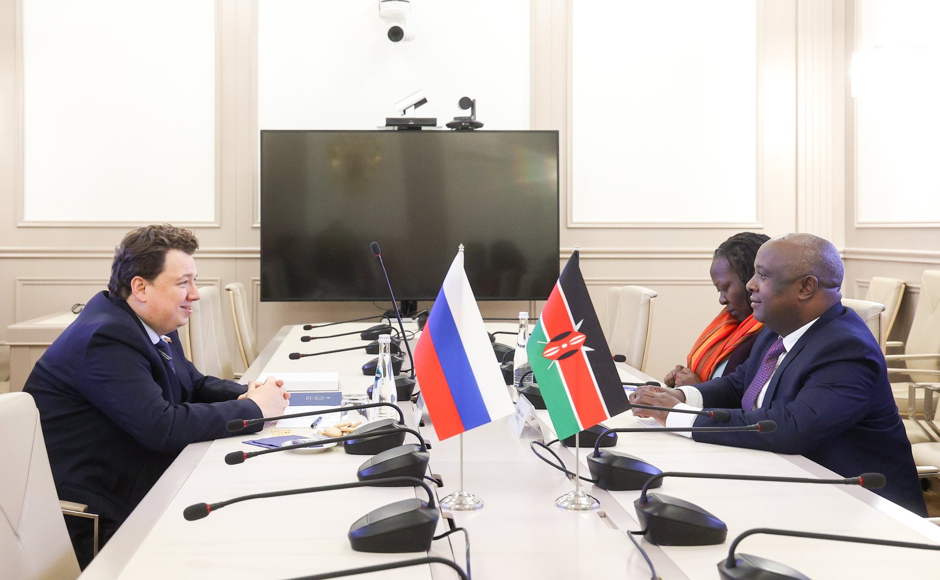 Встреча первого заместителя председателя Комитета СФ по бюджету и финансовым рынкам Александра Шендерюка-Жидкова с председателем Комитета по государственным инвестициям и специальным фондам Сената Республики Кении