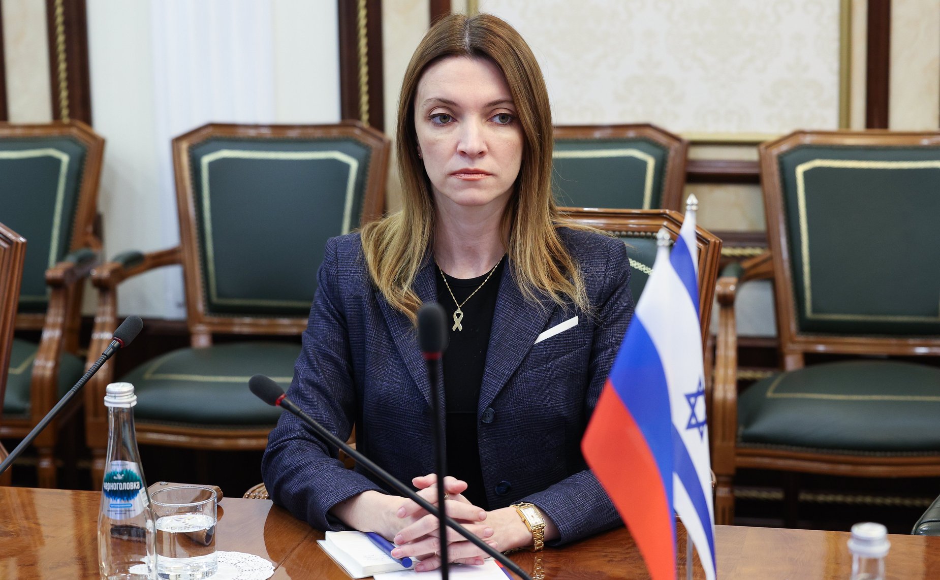 Встреча председателя Комитета Совета Федерации по международным делам Григория Карасина с Чрезвычайным и Полномочным Послом Государства Израиль в Российской Федерации