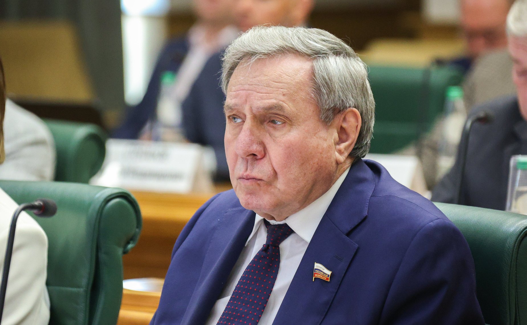 Владимир Городецкий