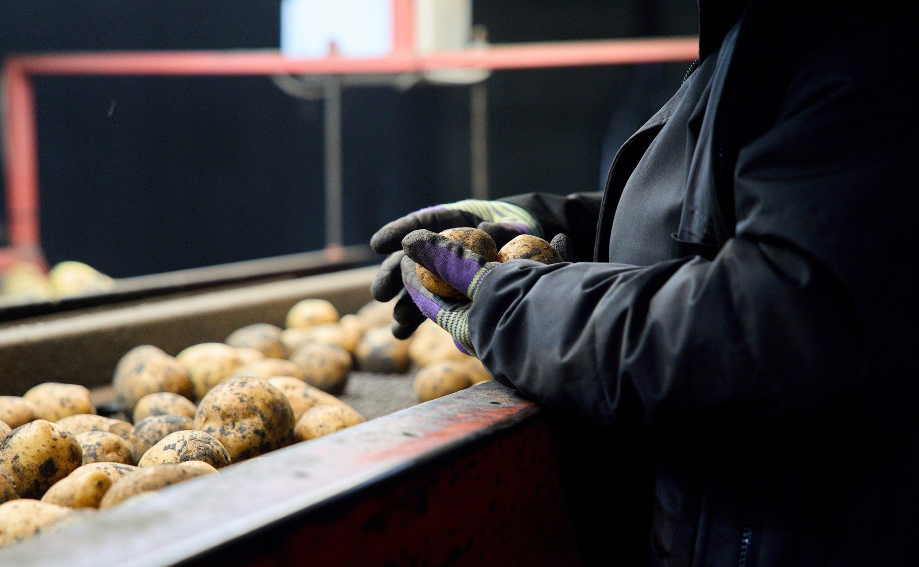 Ольга Щетинина в ходе поездки в регион посетила Арзамасский округ