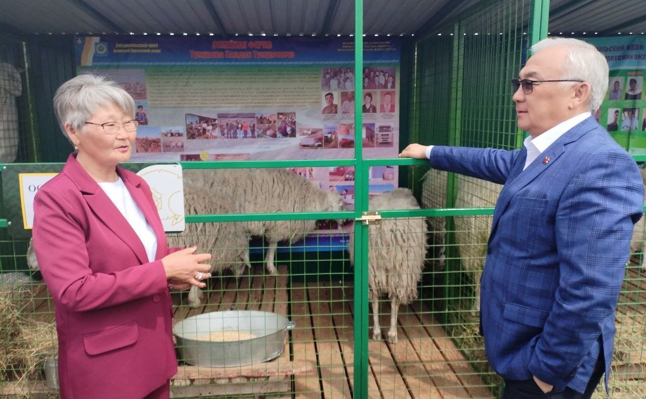Баир Жамсуев посетил второй этап Российской выставки племенных овец и коз в Чите