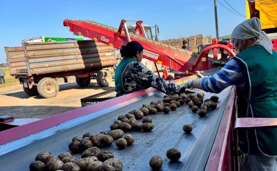 Сергей Митин принял участие в торжественной церемонии запуска первого агроагрегатора в регионе