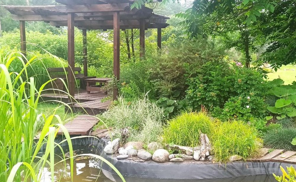 Татьяна Гигель в ходе рабочей командировки по региону побывала в республиканском ботаническом саду – филиале ЦСБС СО РАН