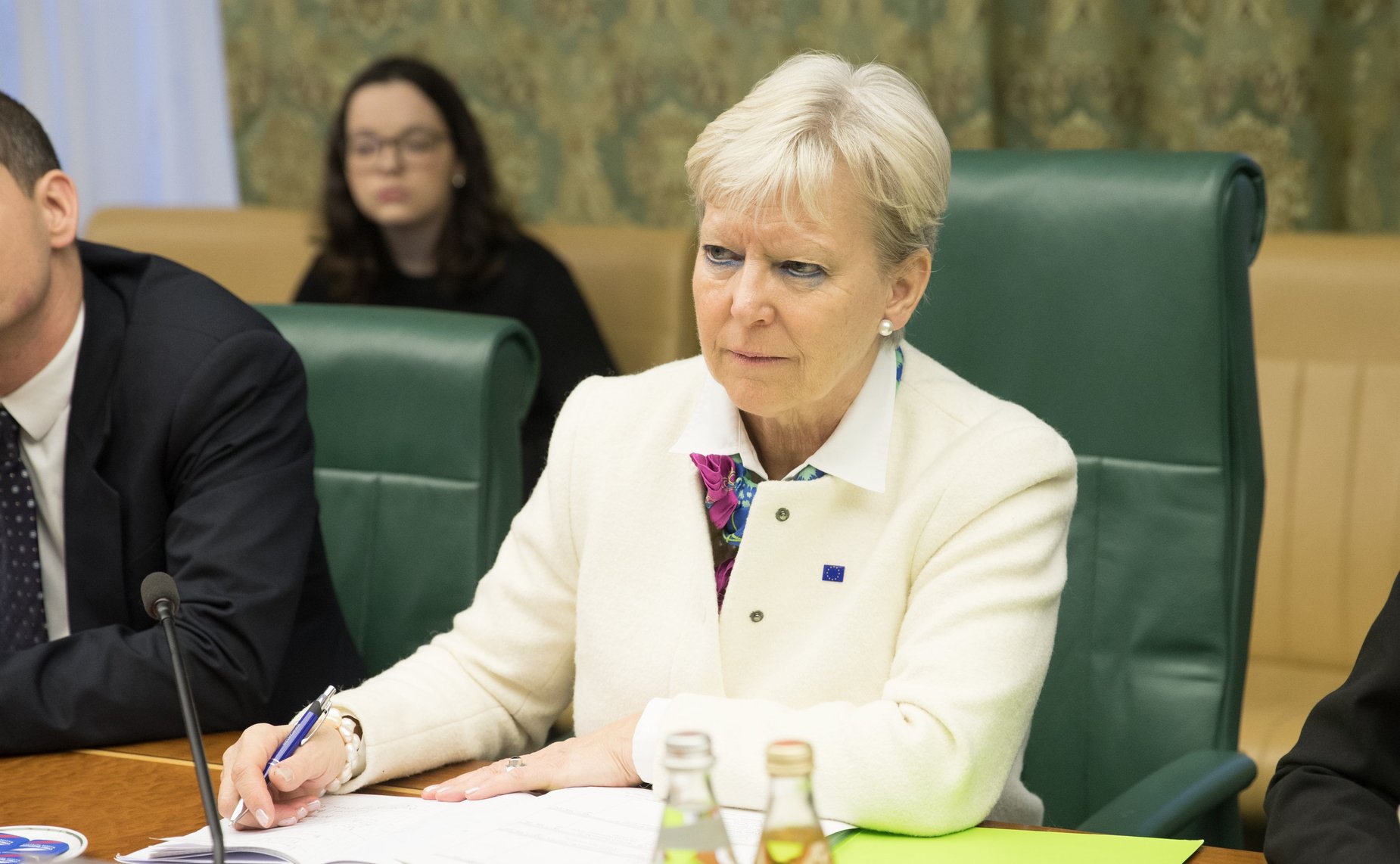 Встреча А. Акимова с Послом по особым поручениям Европейского союза по Арктике Мари-Энн Конинскс