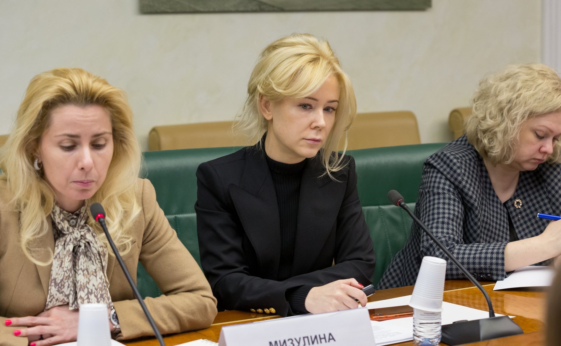 Заседание рабочей группы Комитета СФ по науке, образованию и культуре